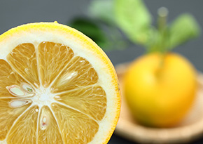 Daidai oranges