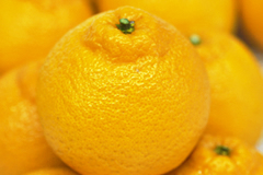 Dekopons