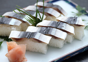 Pacific saury sushi