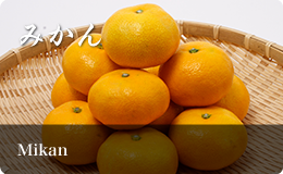 Mikan