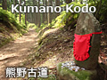 Kumano Kodo Nakahechi